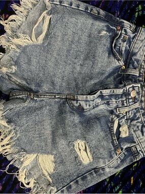 wild fable Distressed Light Blue Denim Jean Shorts